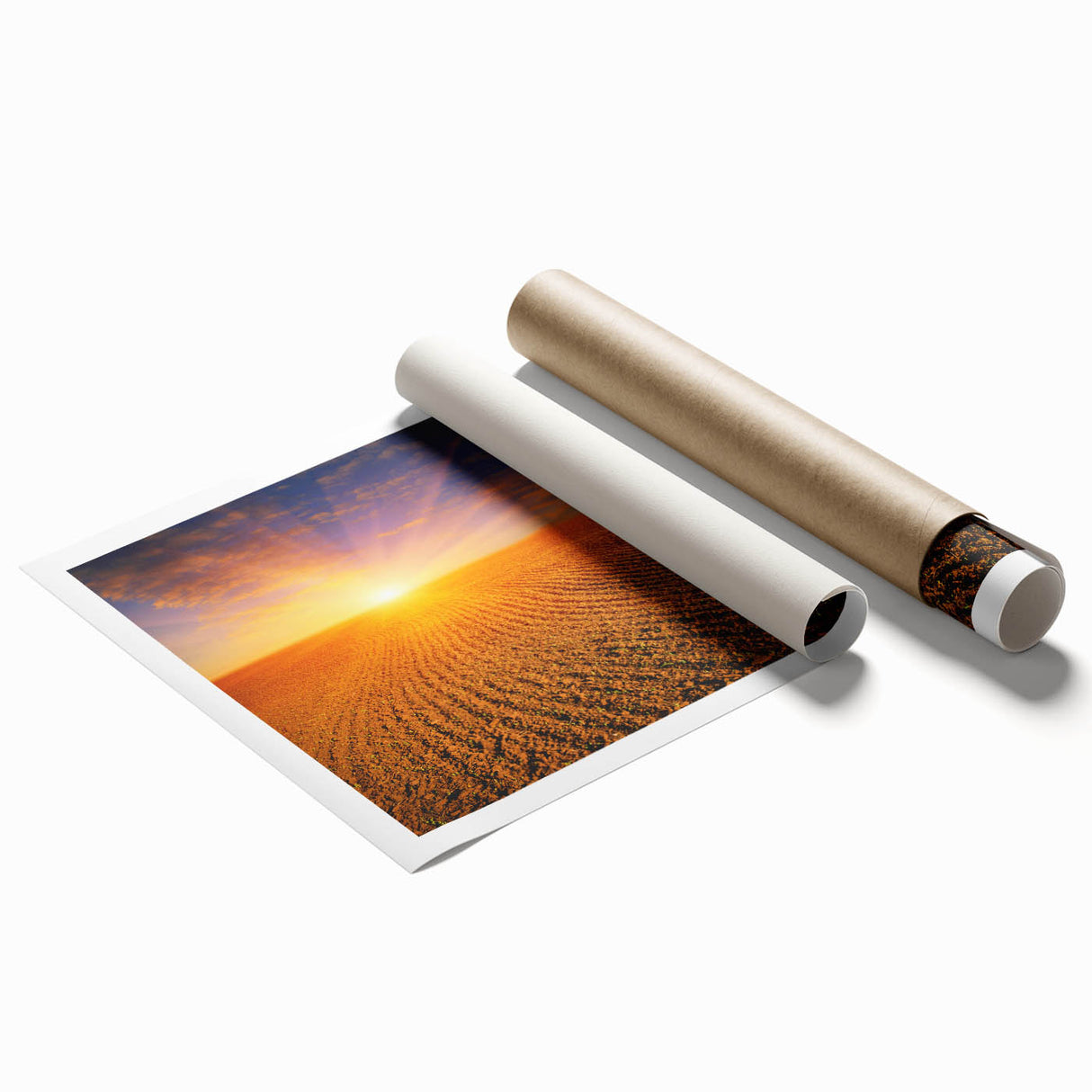 Extra large rolled print of a floral scenery in pastel shades, ideal for classy bathroom wall art.