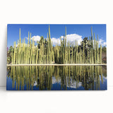 Black and white photo of Oaxaca scenery on stretched canvas, ideal for kitchen wall art or bedroom decor.