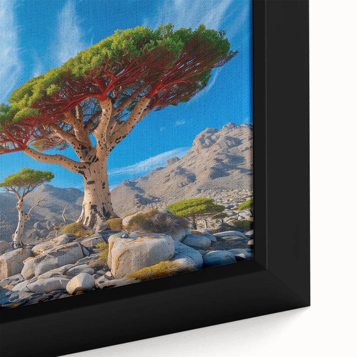 Extra large framed canvas featuring a textured Middle Eastern scenery in black with colorful accents.