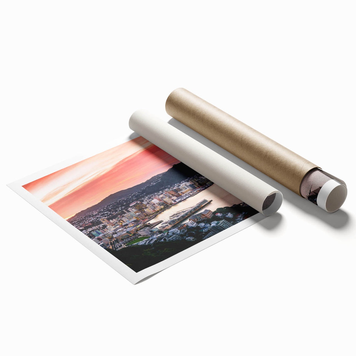 Extra large rolled print of Wellington, New Zealand, featuring vibrant floral art.