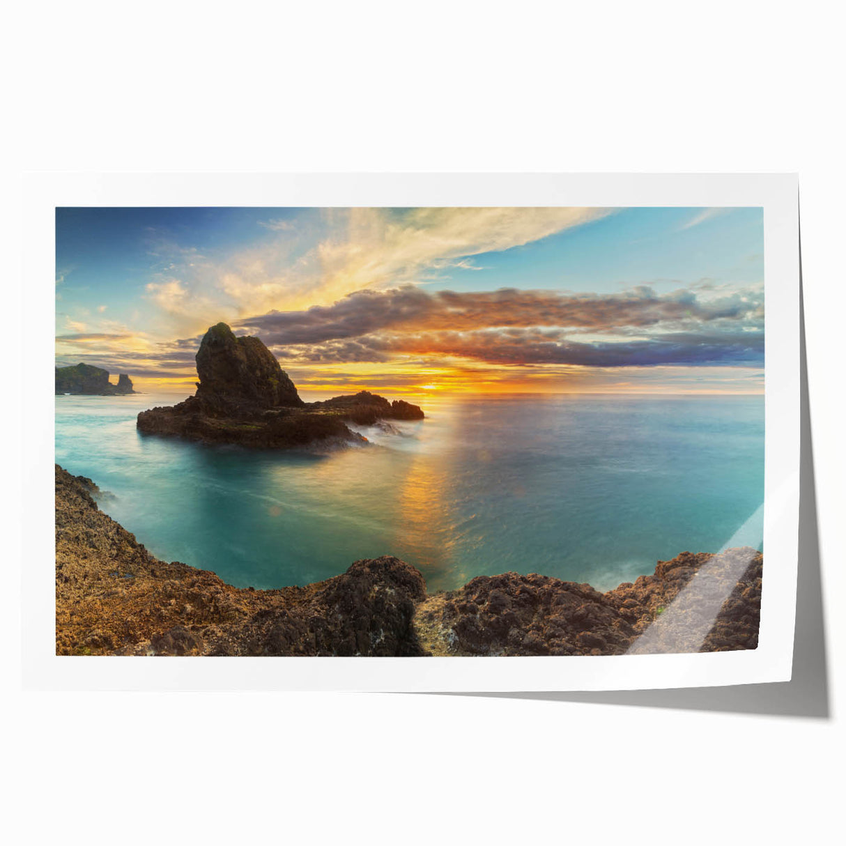 Extra large rolled print of New Zealand's West Coast with vibrant ocean and floral details, suited for dining room ambiance.