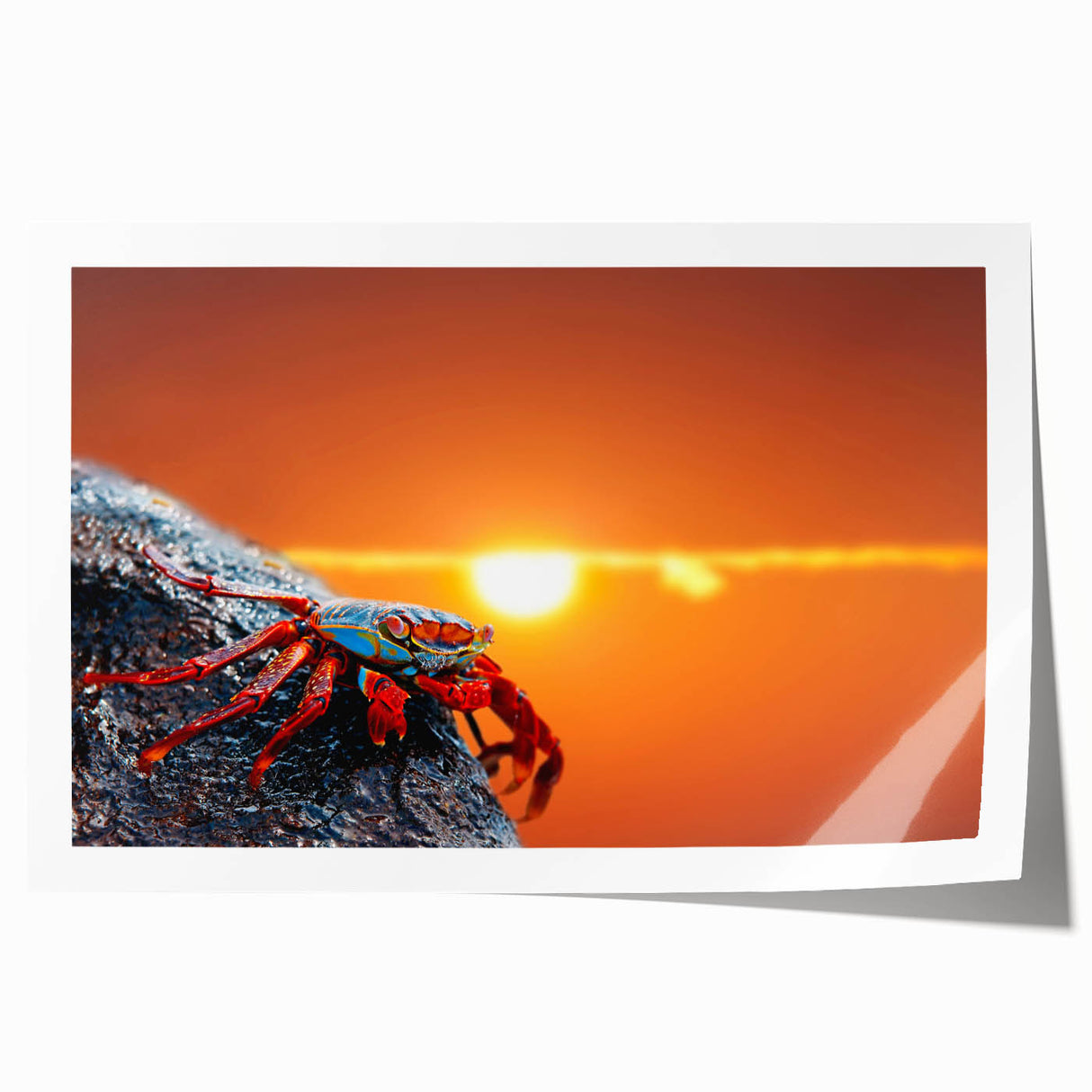 Rolled print of Galapagos scenery with vivid green and blue tones, suitable as art wall dining room decor.