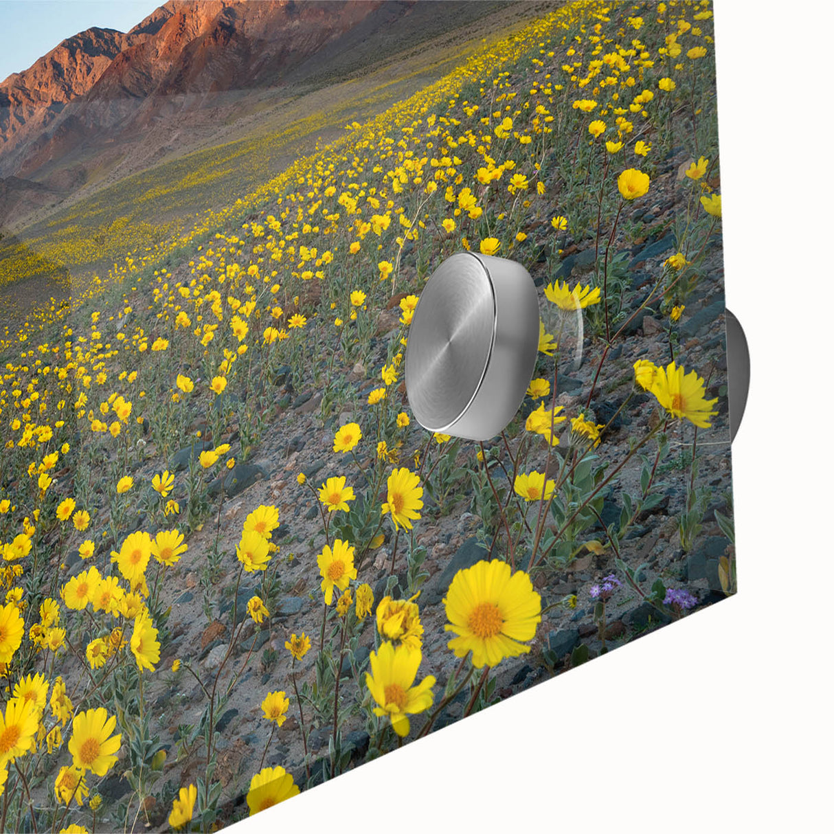 Mid-century modernist large abstract art print of Death Valley in muted earth tones on acrylic glass.