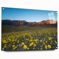 Large acrylic print of Death Valley scenery in earth tones, suitable for bedroom or dining room decor.