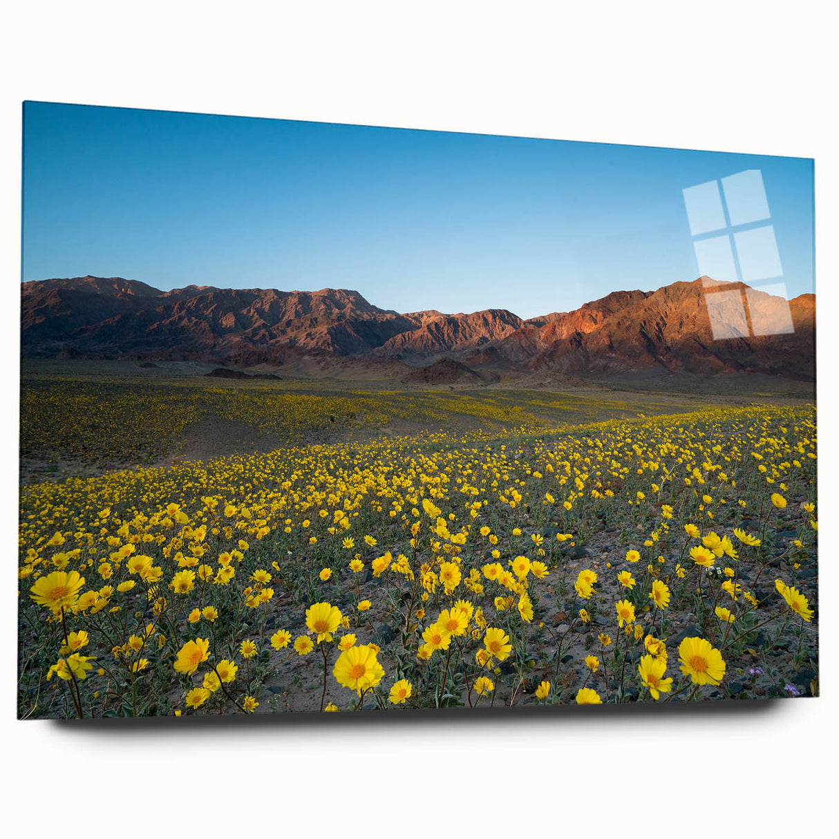 Large abstract wall art of Death Valley in muted earth tones on acrylic glass, ideal for bedroom or dining room decor.