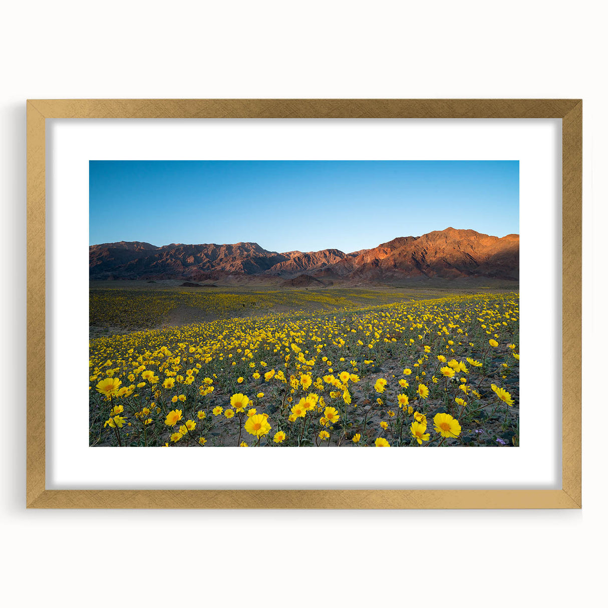 Extra large abstract art print of Death Valley in muted earth tones on a textured canvas, ideal for living room decor.