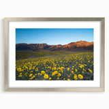 Textured art print of Death Valley in muted earth tones on a framed canvas, ideal for bedroom wall decor.
