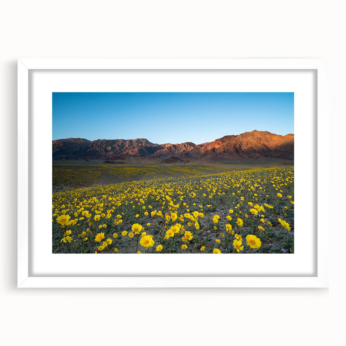 Abstract art print of Death Valley in muted earth tones on a white framed poster, suitable for dining room decor.