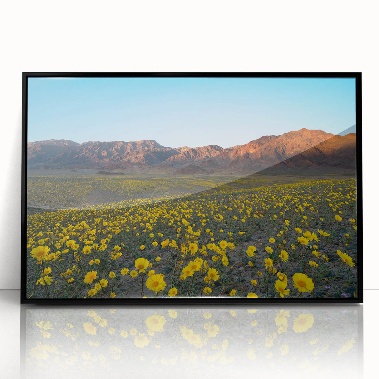 Large abstract wall art depicting Death Valley in muted earth tones on a framed acrylic.