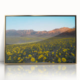Mid-century modernist style large art print of Death Valley in muted earth tones, framed in gold acrylic.