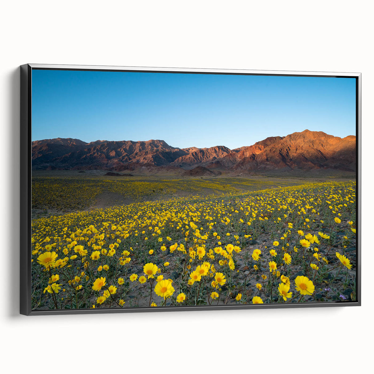 Black and white framed canvas of Death Valley landscape, ideal for bedroom wall art.