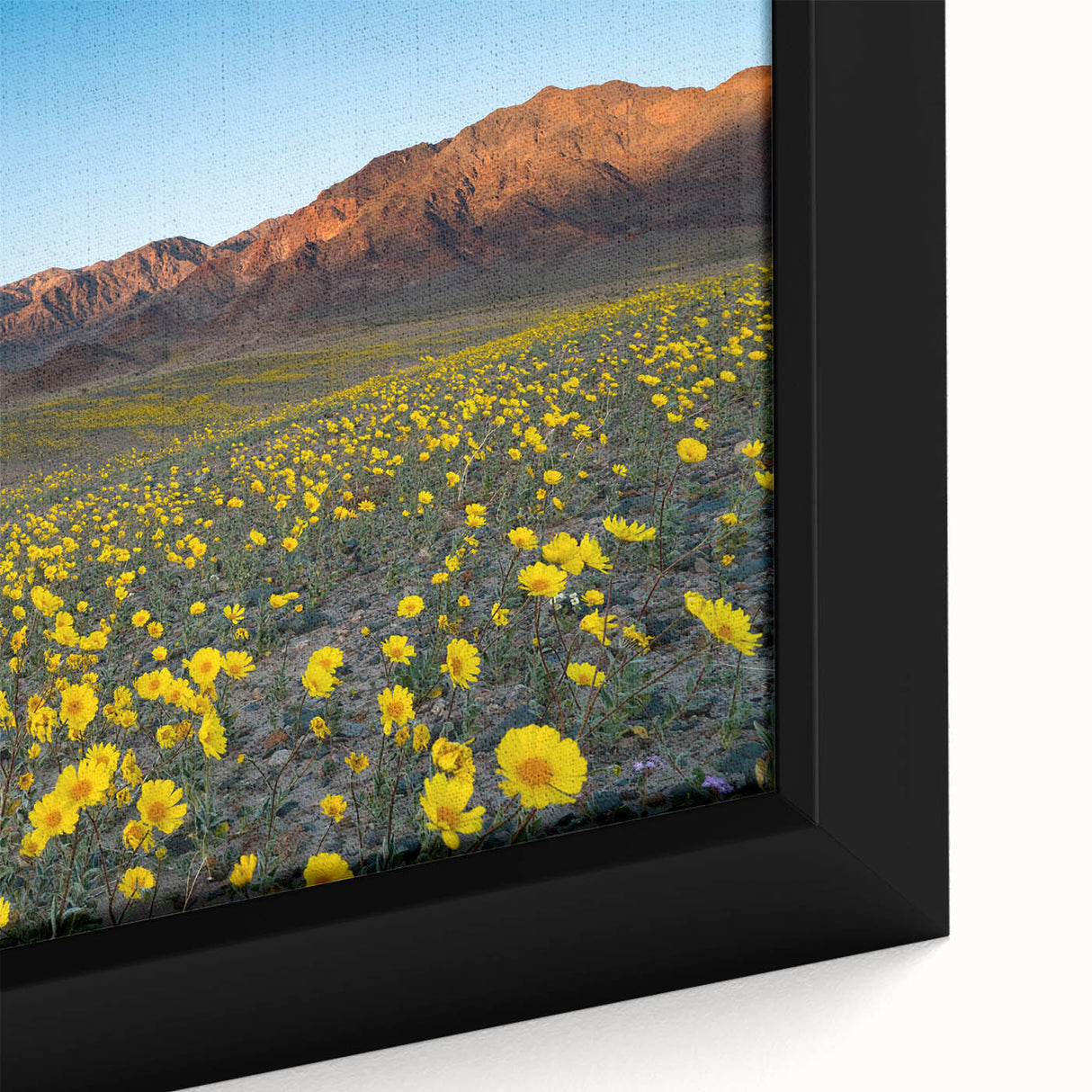 Extra large framed canvas of Death Valley with textured black and colorful art, ideal for living room decor.