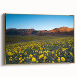 Framed canvas depicting a monochrome Death Valley landscape, ideal for bedroom wall art with a vintage poster style.