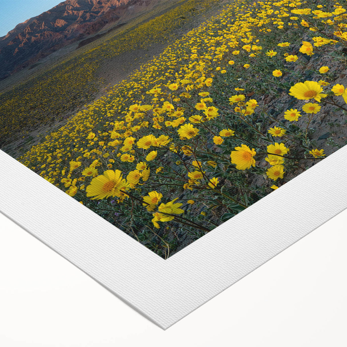 Art deco poster of Death Valley landscape in muted earth tones on rolled canvas, suitable for dining room wall art.