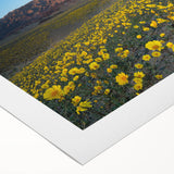 Art deco poster of Death Valley landscape in muted earth tones on rolled canvas, suitable for dining room wall art.