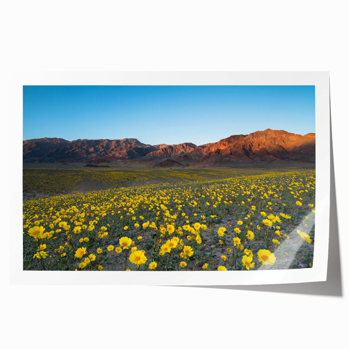 Rolled print of Death Valley landscape in earth tones, ideal for art wall dining room.
