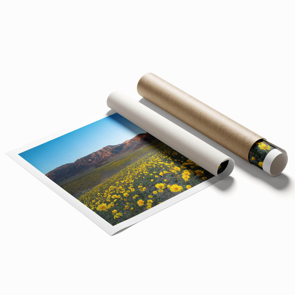 Extra large rolled print of Death Valley scenery in muted earth tones, ideal for classy bathroom wall art.