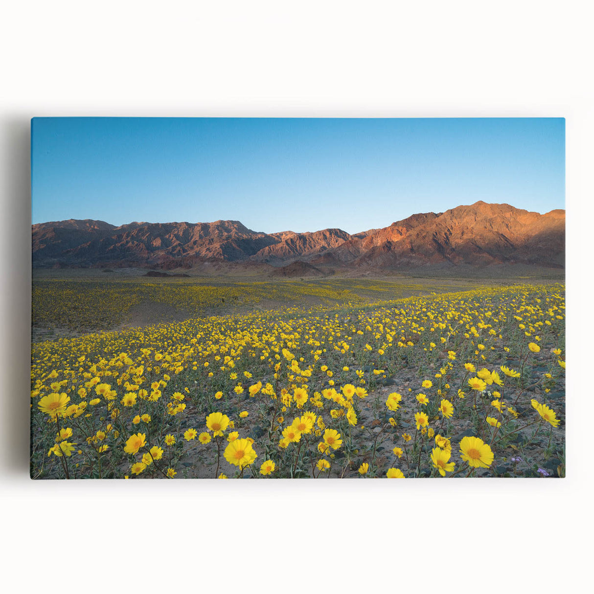 Black and white stretched canvas of Death Valley, ideal for kitchen wall art.