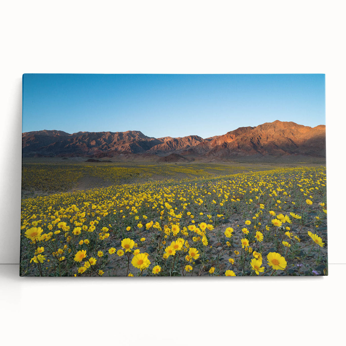 Black and white stretched canvas of Death Valley landscape, ideal for kitchen wall art or bedroom ambiance.