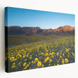 Large art print of Death Valley scenery on stretched canvas, showcasing earthy tones, ideal for kitchen wall art.