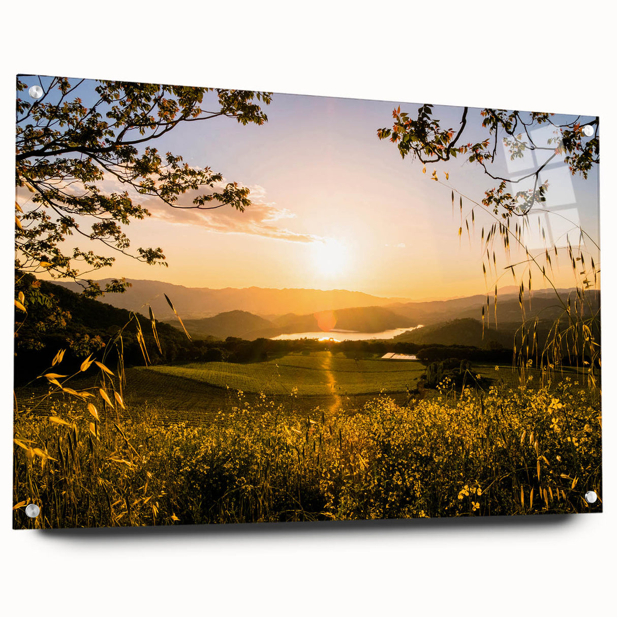 Acrylic print of Napa Valley landscape in muted earth tones, suitable for dining room decor.