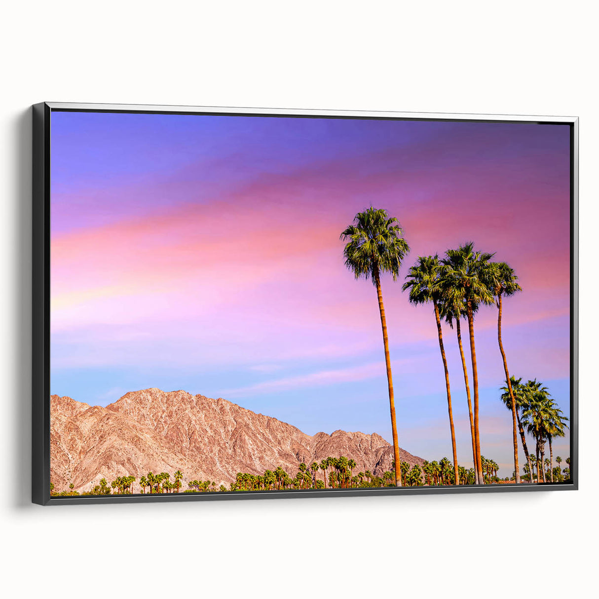 Black and white framed canvas featuring a vintage-style Palm Springs landscape, ideal for bedroom wall decor.