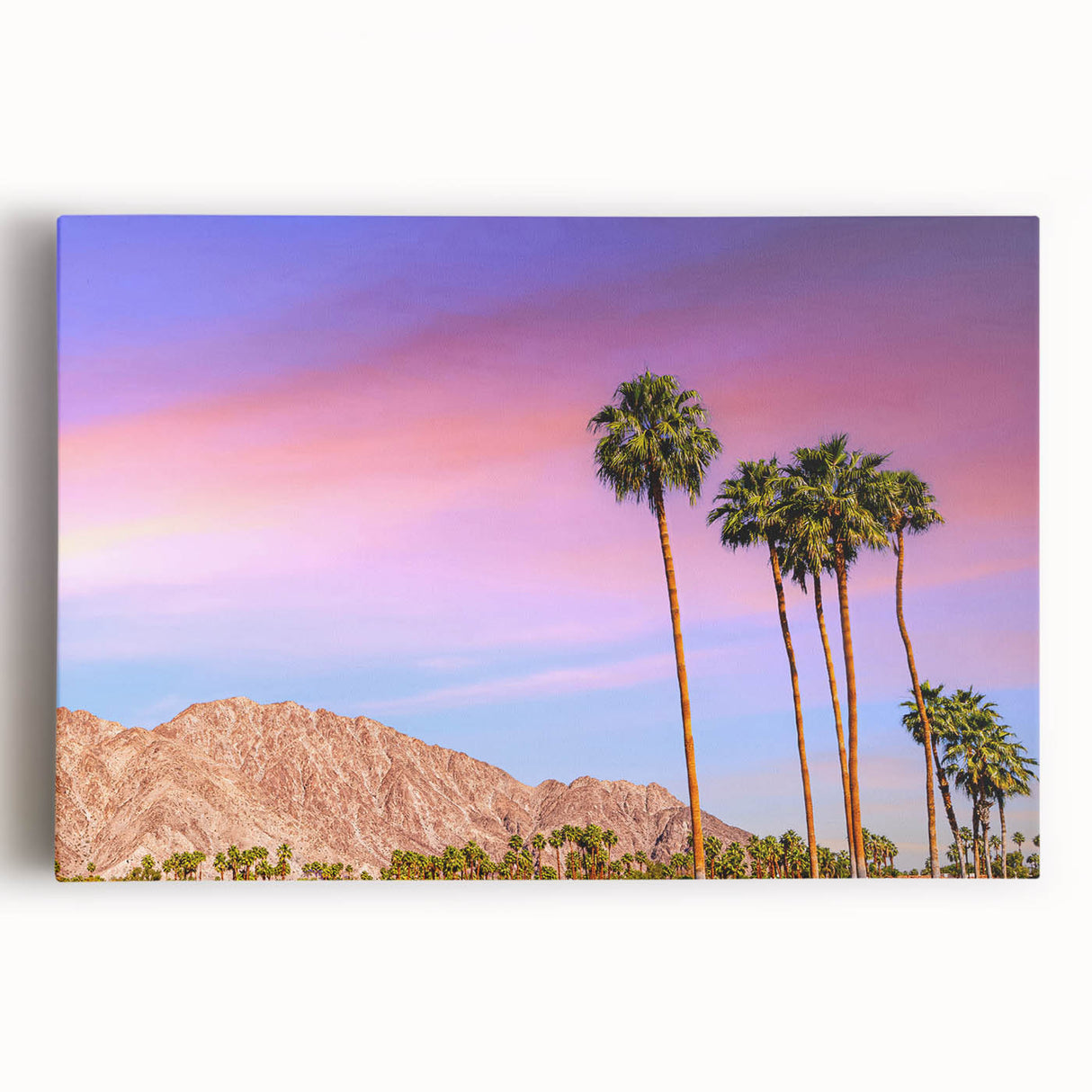 Black and white photograph of Palm Springs with large palm trees on stretched canvas, suitable for kitchen wall art.