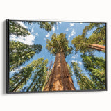 Black and white framed canvas of a vintage-style Sequoia landscape, ideal for bedroom wall decor.