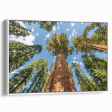 Vintage poster art of Sequoia National Park on extra large framed canvas, featuring muted earth tones.