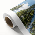 Art deco poster of California Sequoia in muted green tones on rolled canvas, suitable for nursery wall art.