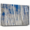 Acrylic print of a Colorado Aspen landscape in autumn hues, ideal for dining room art.