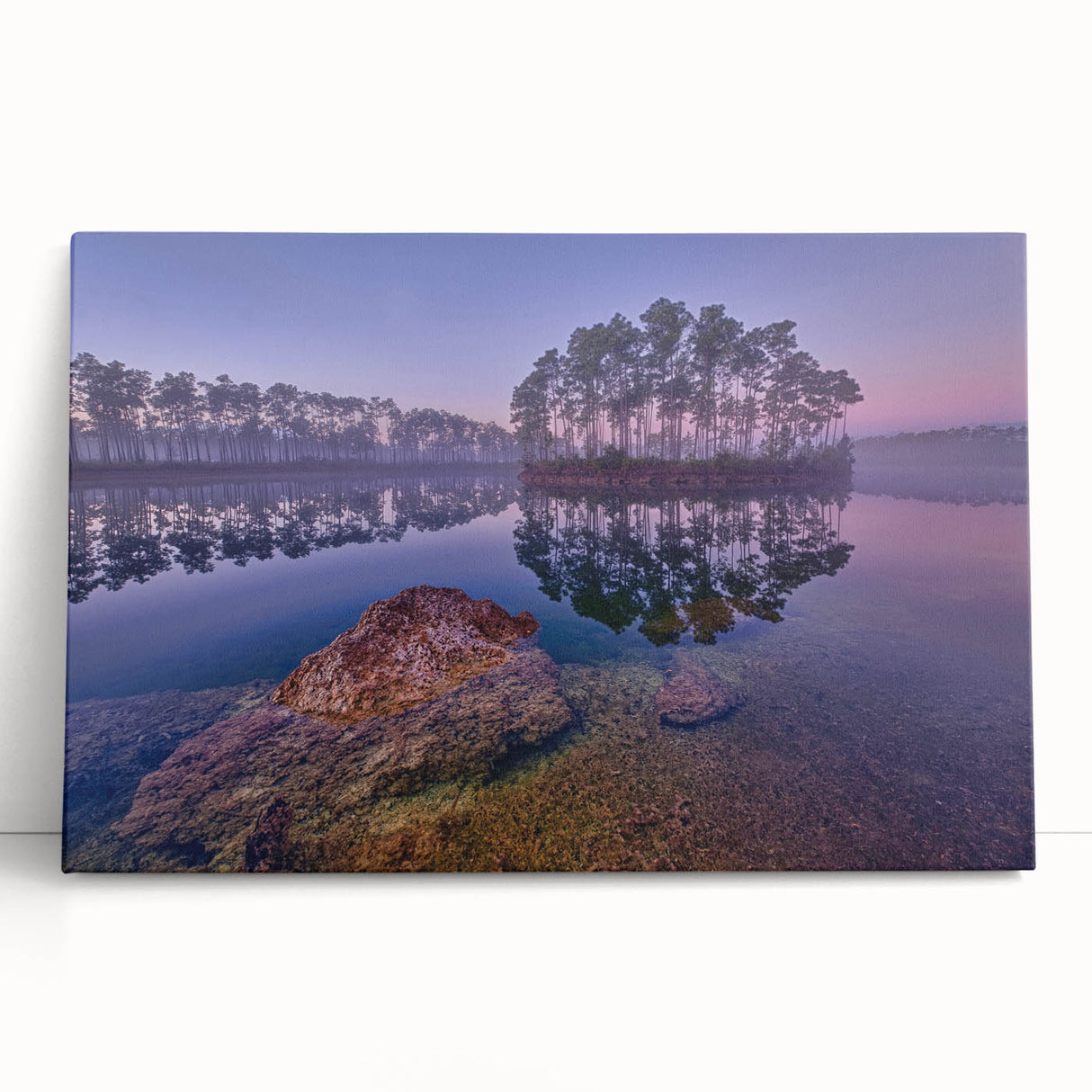 Black and white stretched canvas of the Everglades scenery, suited for kitchen wall art or bedroom ambiance.