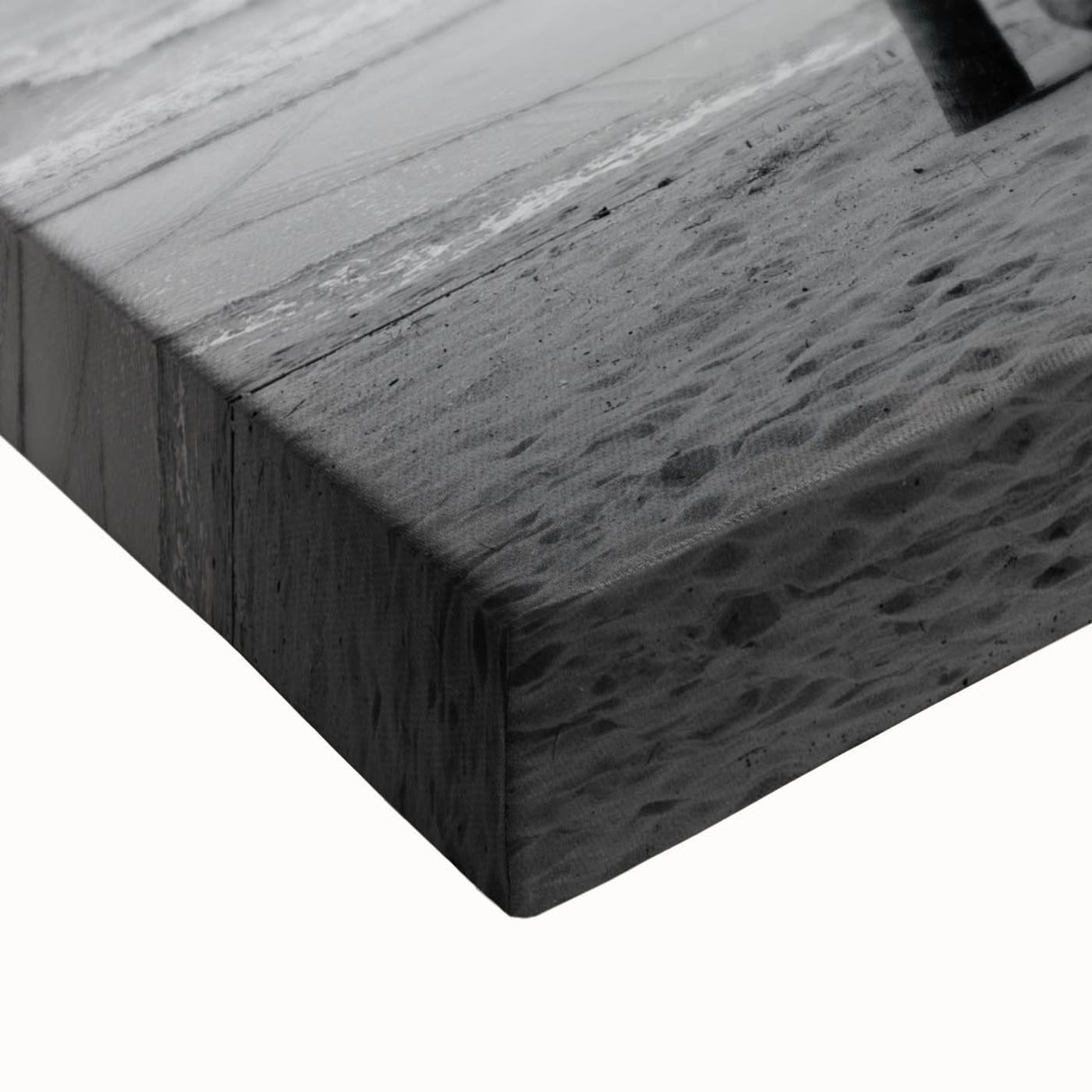Large art of Palm Beach landscape in black and white on stretched canvas, suitable for bedroom wall decor.