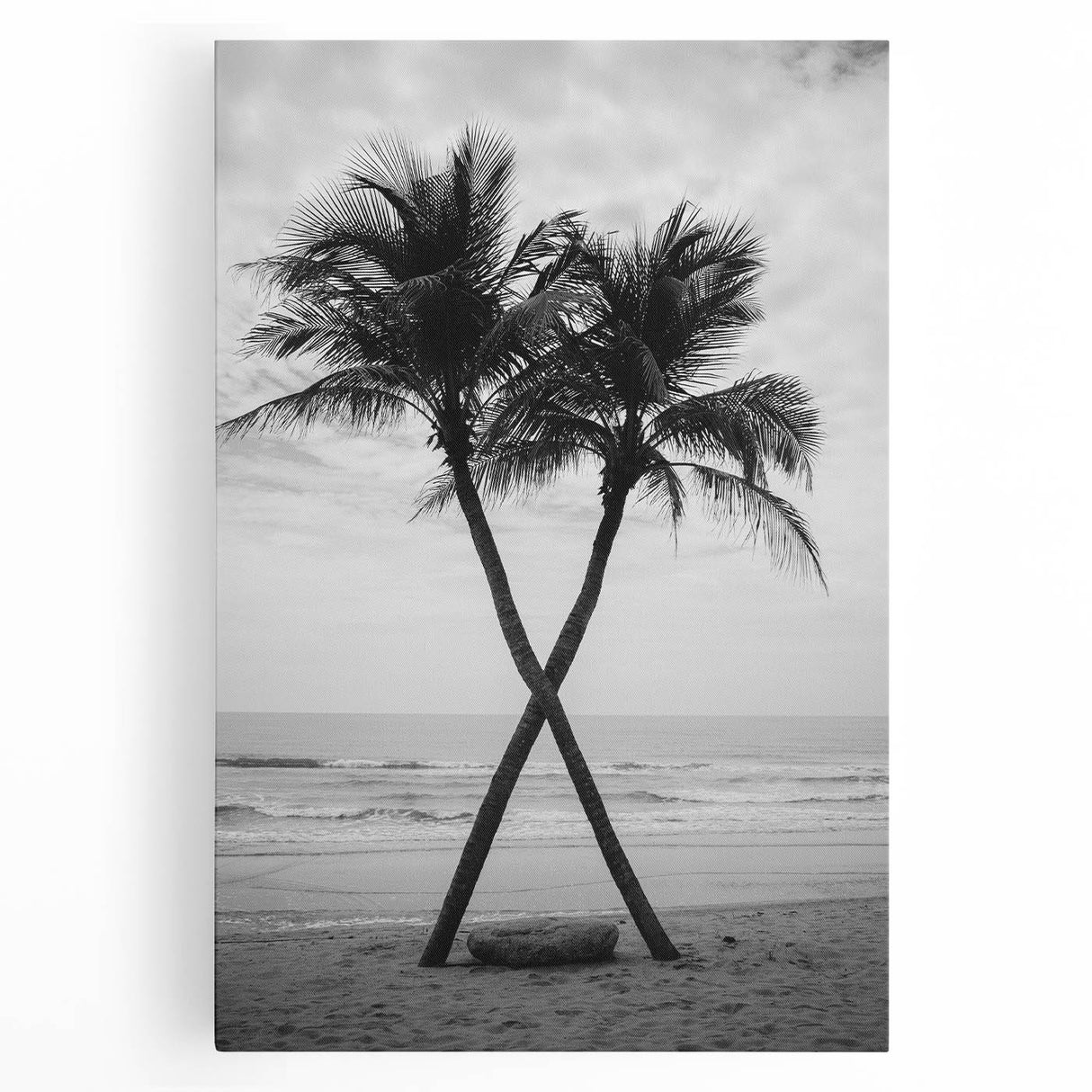 Black and white stretched canvas of Palm Beach scenery, ideal for kitchen wall art.