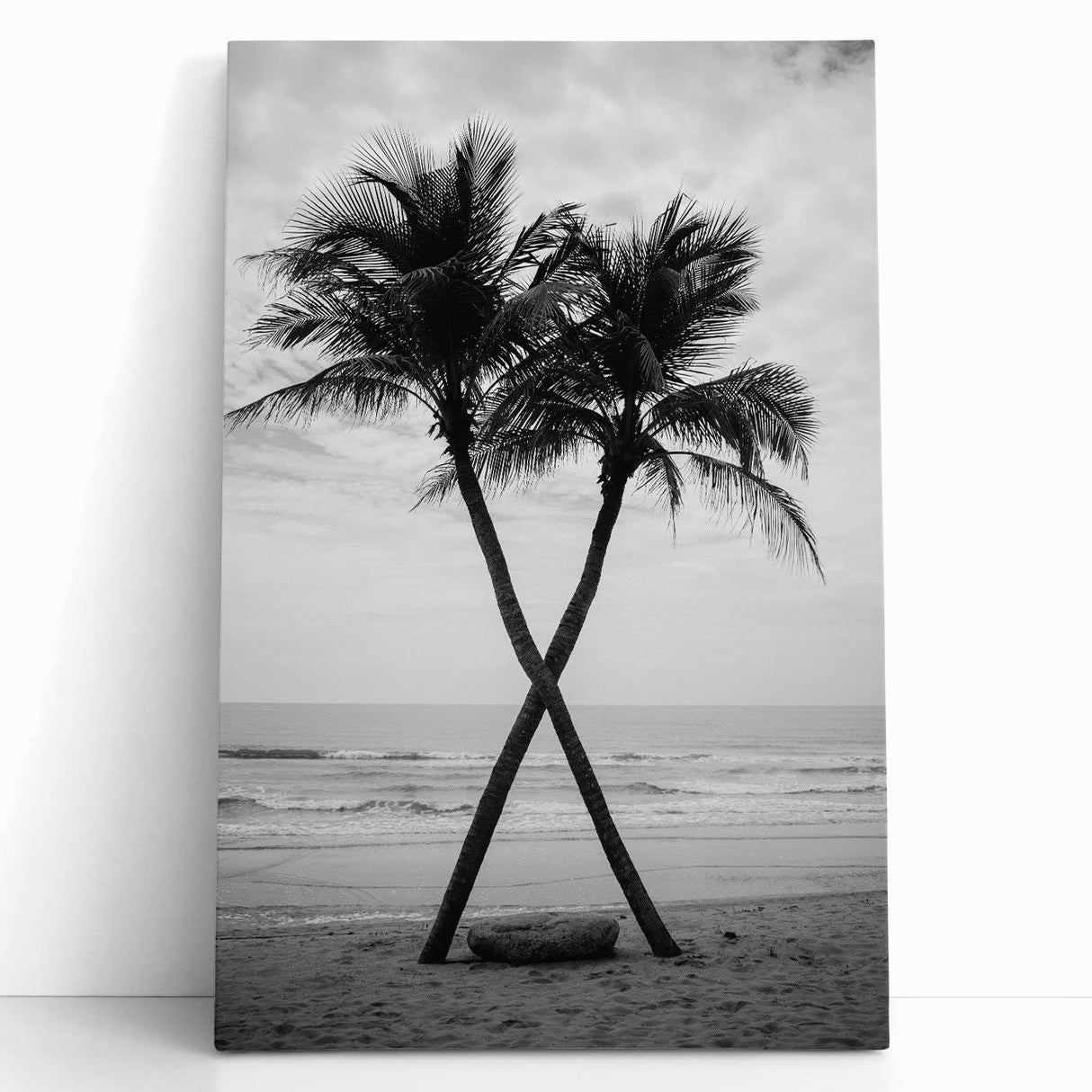 Black and white photo of Palm Beach on stretched canvas, suitable as large kitchen wall art or for bedroom ambiance.