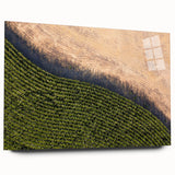 Large abstract wall art depicting a serene Iowa landscape in muted earth tones on acrylic glass.