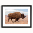 Abstract art print of a vibrant Kansas landscape in textured colors on a large black framed canvas.