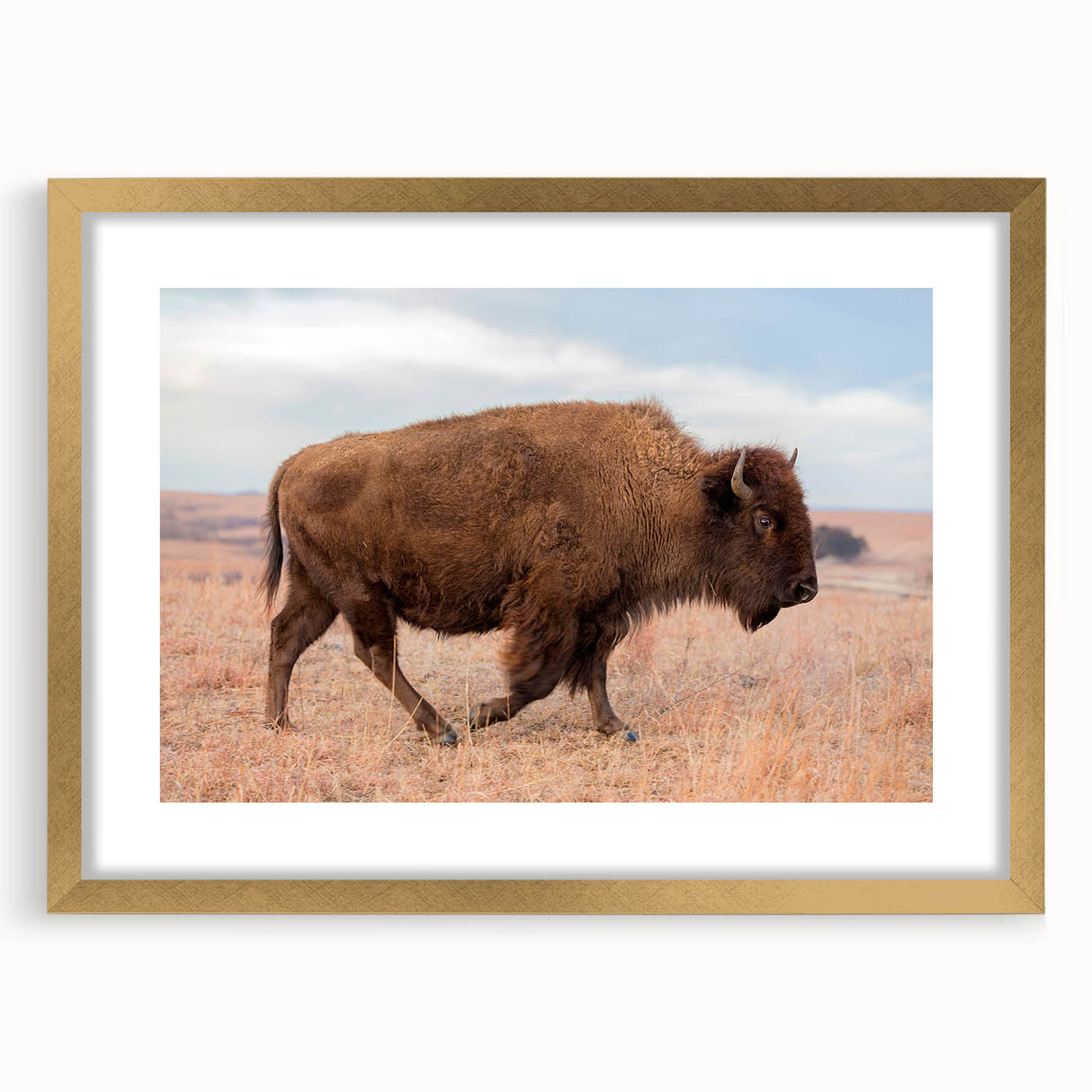 Extra large abstract art print of textured Kansas scenery in muted earth tones, framed in gold, ideal for living room decor.