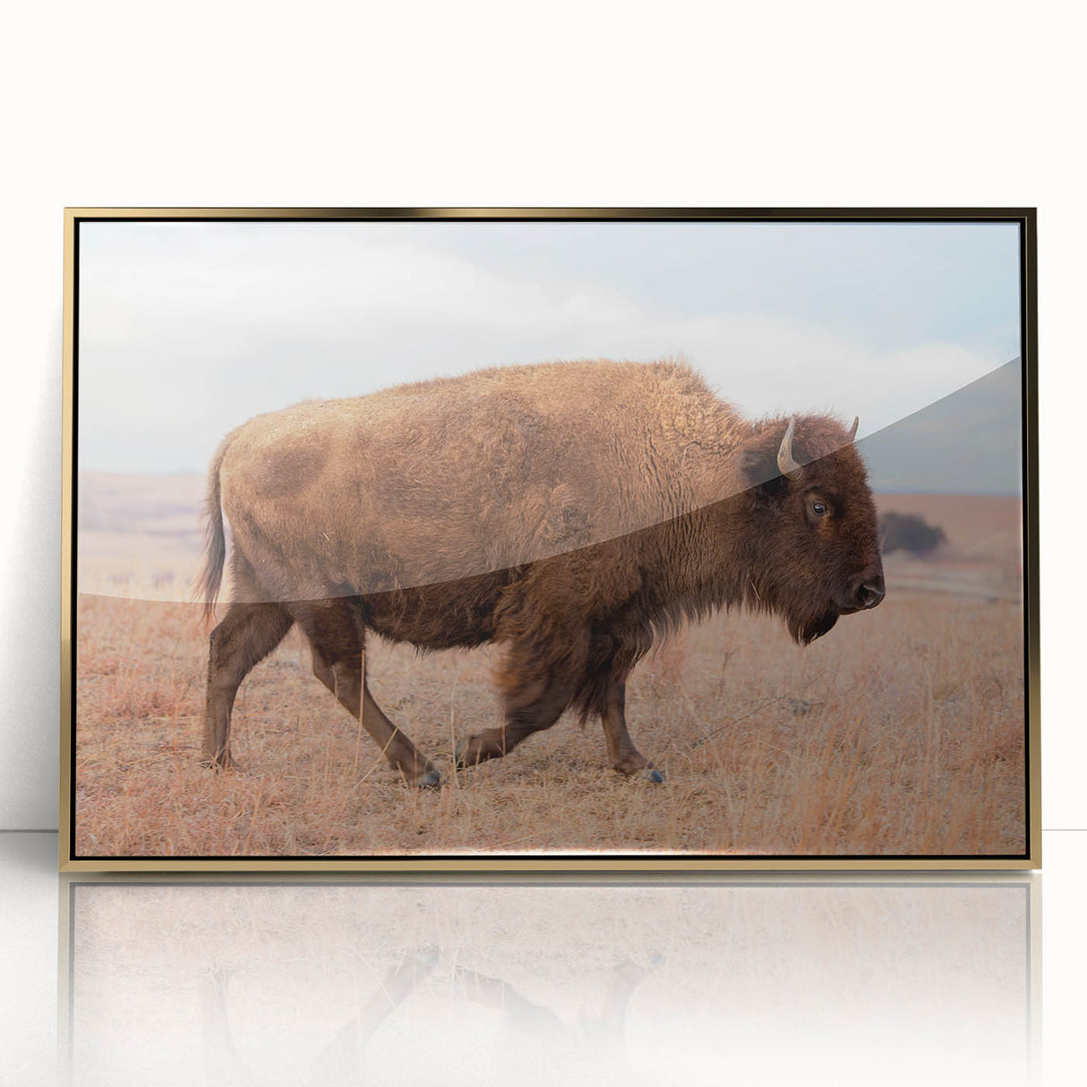 Mid-century modernist acrylic print of Kansas scenery in warm gold tones, ideal for modern art wall decor.