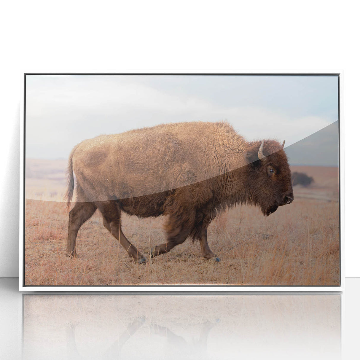 Acrylic print of a Kansas landscape in art deco style with pastel colors, ideal for modern nursery wall art.