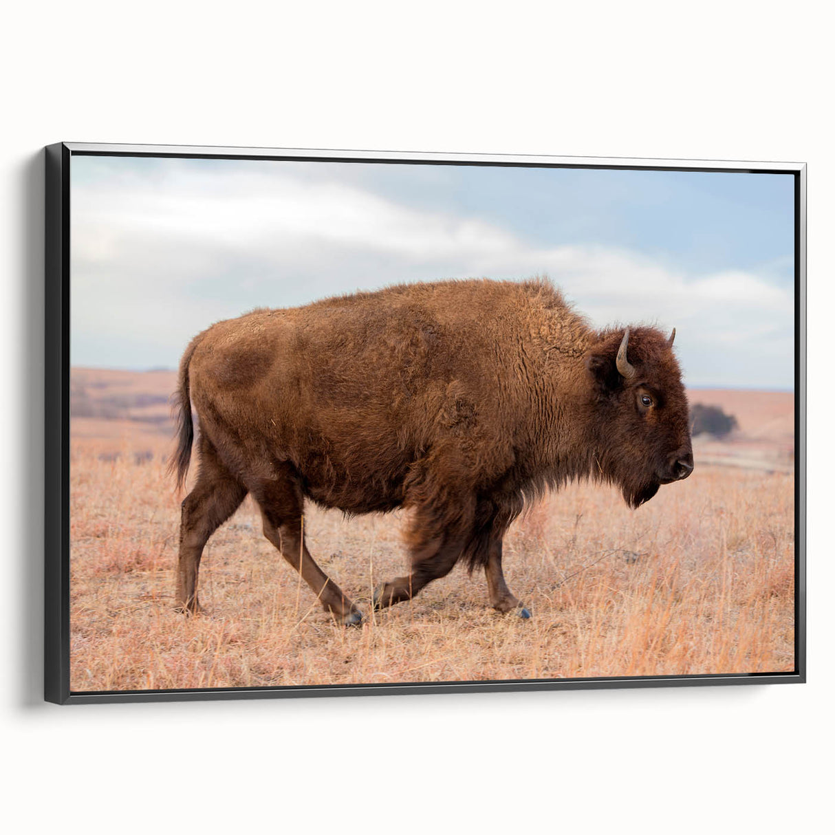 Black and white framed canvas of Kansas landscape, ideal for bedroom wall art.
