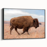 Black and white framed canvas of Kansas landscape, ideal for bedroom wall art.