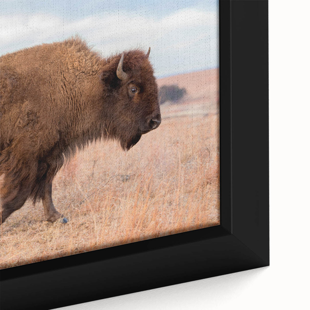 Extra large framed canvas featuring a textured depiction of Kansas scenery in black with colorful art accents.