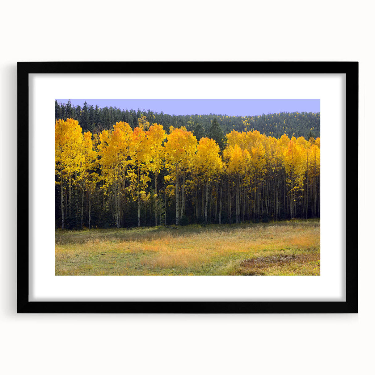 Extra large abstract art print showcasing a textured, colorful depiction of a New Mexico landscape in a black frame.