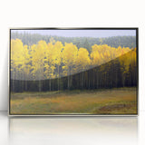 Mid-century modernist art depicting New Mexico scenery in muted earth tones on a silver-framed acrylic print.