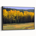 Black and white landscape art painting of New Mexico scenery on framed canvas, suitable for bedroom wall decor.