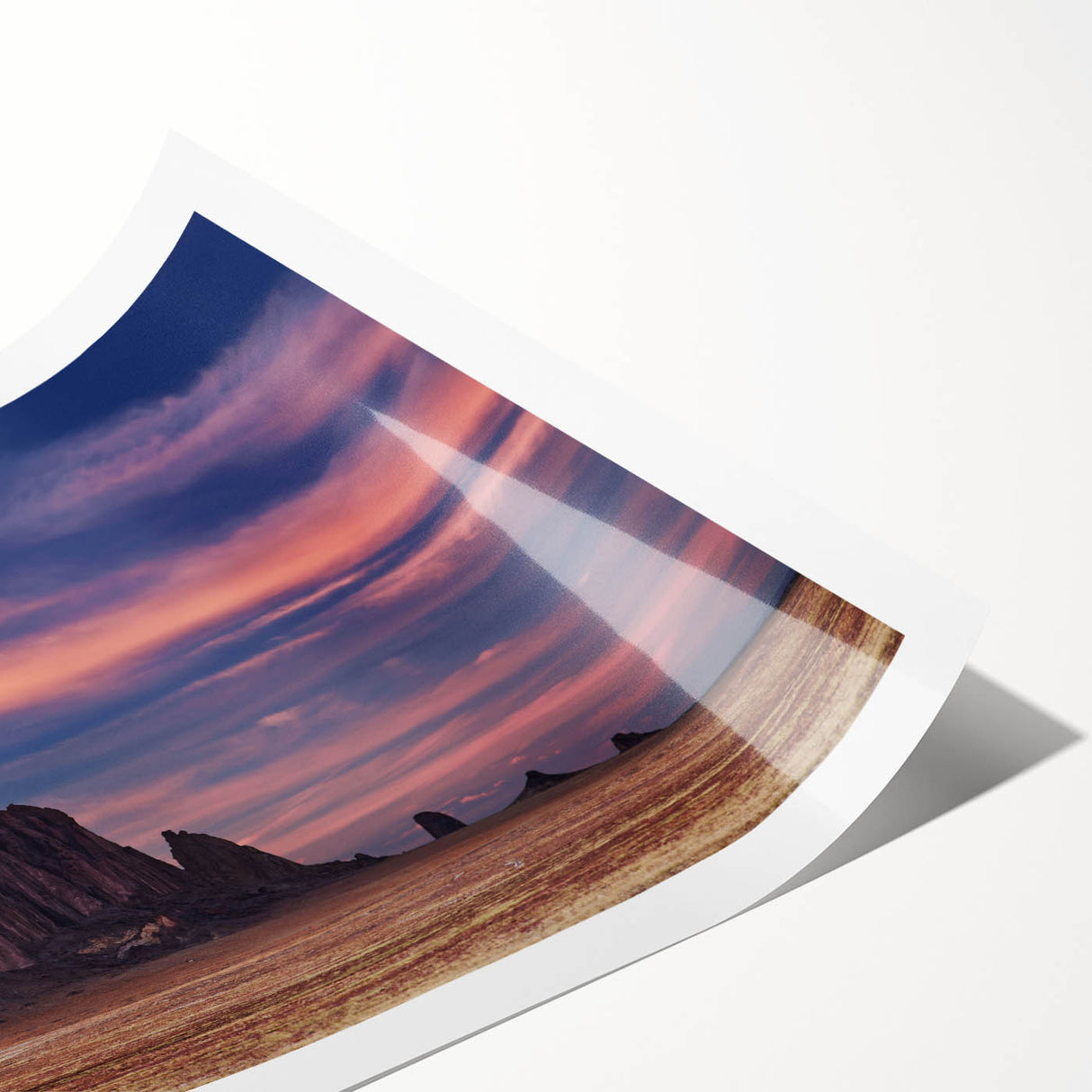 Extra large wall art featuring line art flowers on a rolled print, set against White Sands, New Mexico scenery.