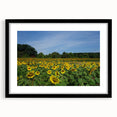 Abstract art print of Raleigh skyline in vibrant colors on a textured, extra large canvas, ideal for living room decor.