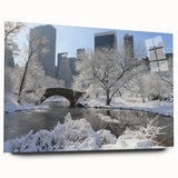 Acrylic print of Central Park with muted green and brown tones, ideal for dining room decor.