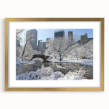 Extra large abstract art print of Central Park with textured design in muted greens and browns, framed in gold.